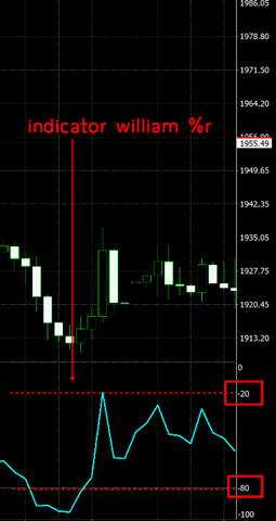 2.William Percent Range (Wpr Indicator) การใช้งาน