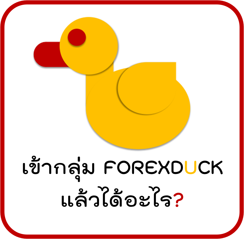 forexduck group