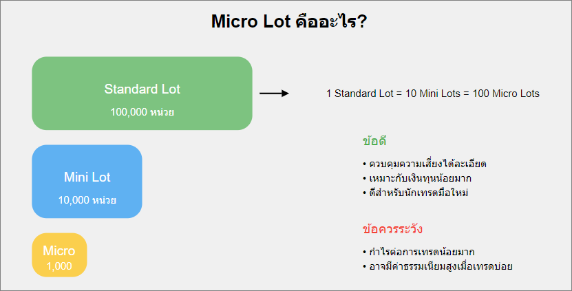 Micro Lot คืออะไร