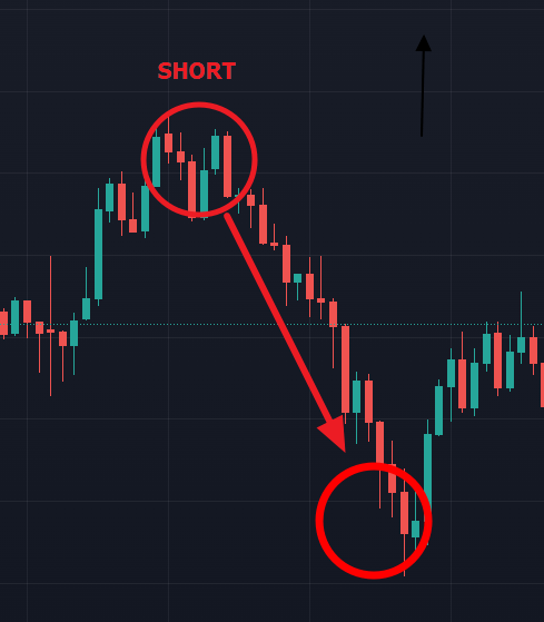 ตัวอย่าง Short