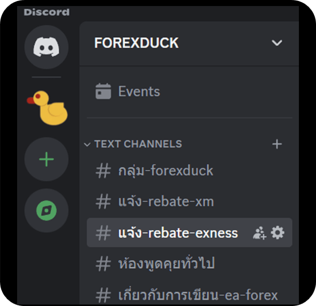 Forexduck Group discord